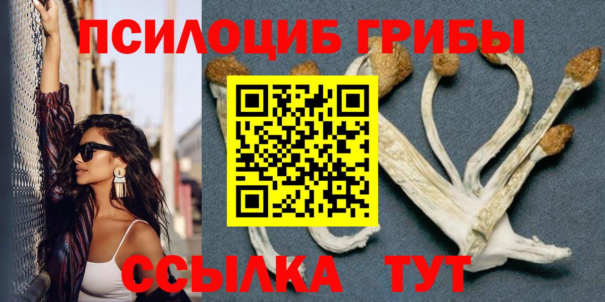 Галлюциногенные грибы мицелий  Вход с VPN  Алексин  Псилоцибиновые грибы прущие грибы 